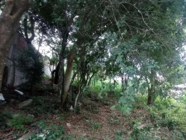 Terreno venda em Região Geográfica Imediata de Florianópolis, Desterro