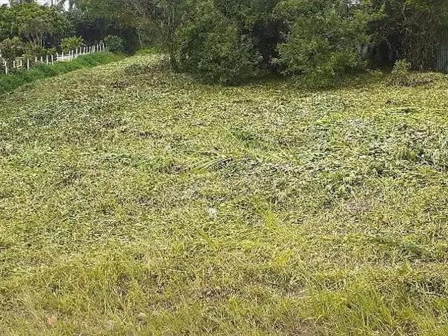 Terreno venda em Região Geográfica Imediata de Florianópolis, Desterro