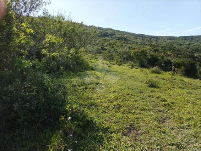Terreno venda em Cova Triste, Garopaba