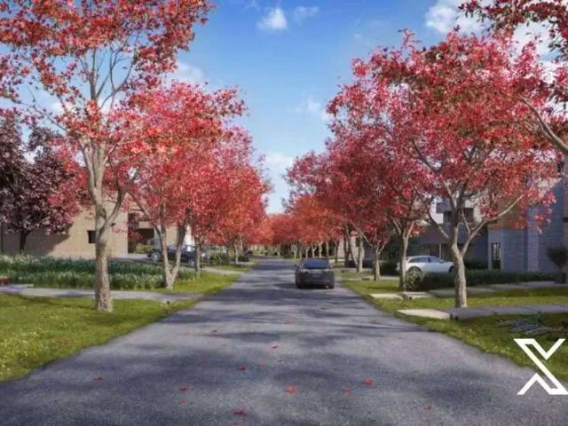Terreno venda em Região Geográfica Imediata de Blumenau, Gaspar