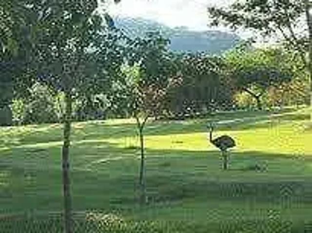 Terreno venda em Região Geográfica Imediata de Goiânia, Goiânia