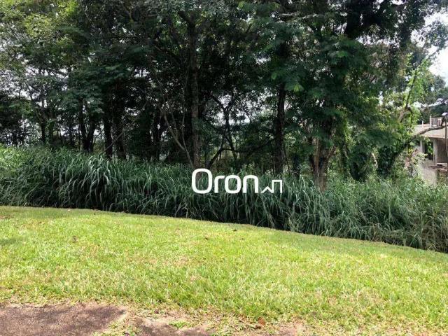 Terreno venda em Região Geográfica Imediata de Goiânia, Goiânia