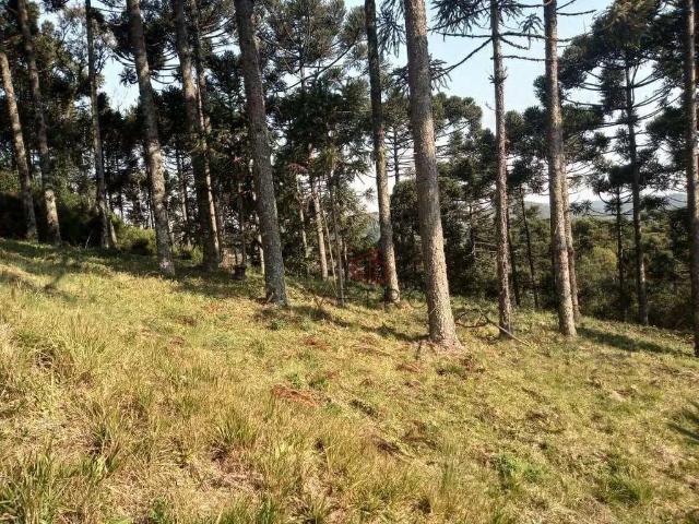 Terreno venda em Região Geográfica Imediata de Caxias do Sul, Gramado