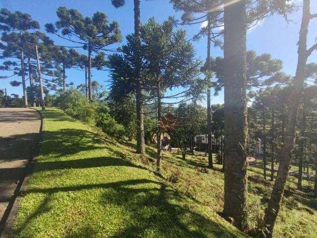 Terreno venda em Região Geográfica Imediata de Caxias do Sul, Gramado