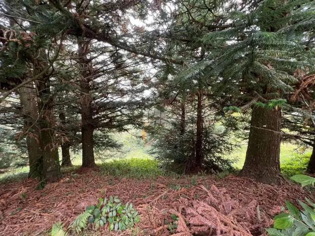 Terreno venda em Região Geográfica Imediata de Caxias do Sul, Gramado