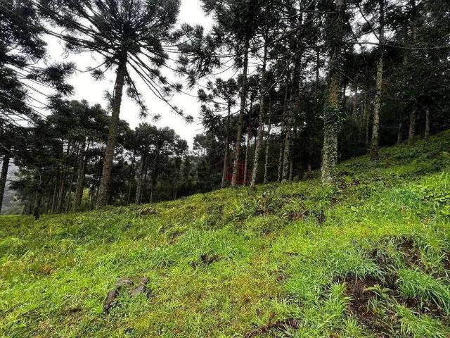 Terreno venda em Região Geográfica Imediata de Caxias do Sul, Gramado