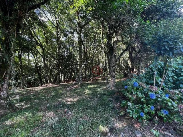 Terreno venda em Residencial Lagos de Gramado, Gramado