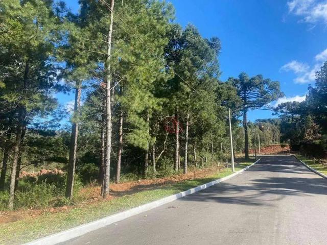 Terreno venda em Região Geográfica Imediata de Caxias do Sul, Gramado