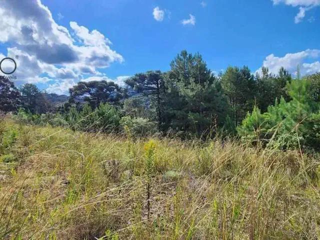 Terreno venda em Região Geográfica Imediata de Caxias do Sul, Gramado