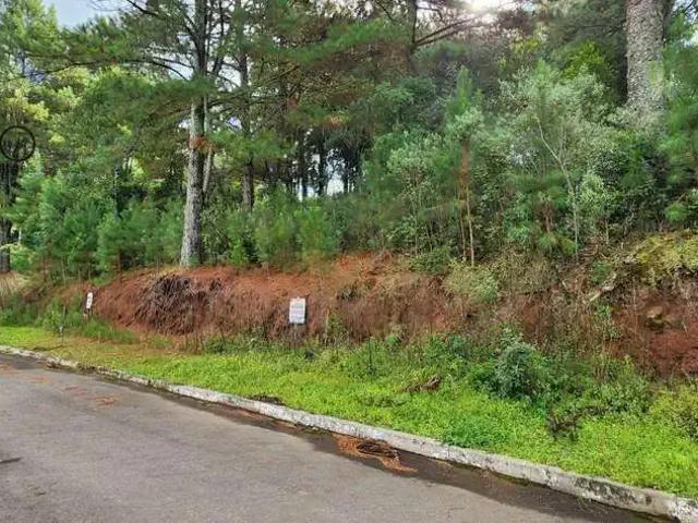 Terreno venda em Região Geográfica Imediata de Caxias do Sul, Gramado