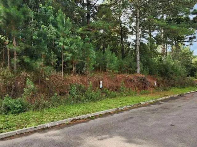 Terreno venda em Região Geográfica Imediata de Caxias do Sul, Gramado