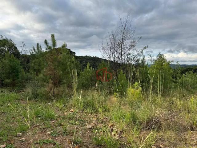 Terreno venda em Região Geográfica Imediata de Caxias do Sul, Gramado