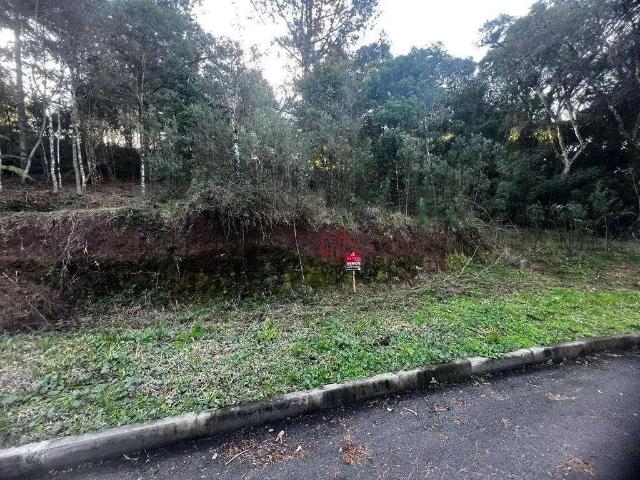 Terreno venda em Região Geográfica Imediata de Caxias do Sul, Gramado