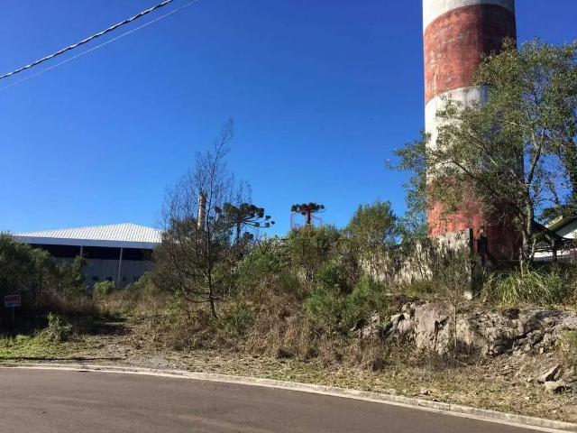Terreno venda em Gramado