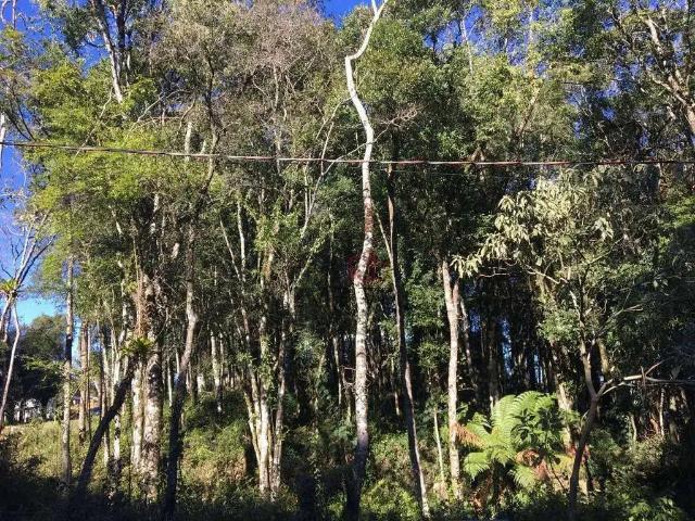 Terreno venda em Região Geográfica Imediata de Caxias do Sul, Gramado
