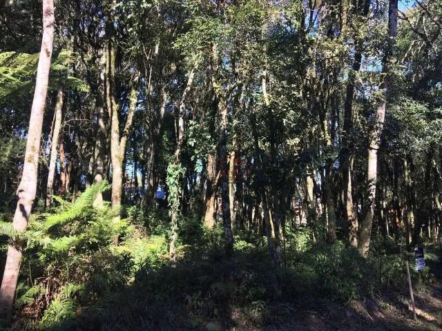 Terreno venda em Região Geográfica Imediata de Caxias do Sul, Gramado
