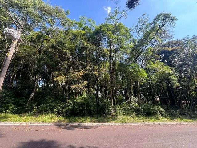 Terreno venda em Gramado