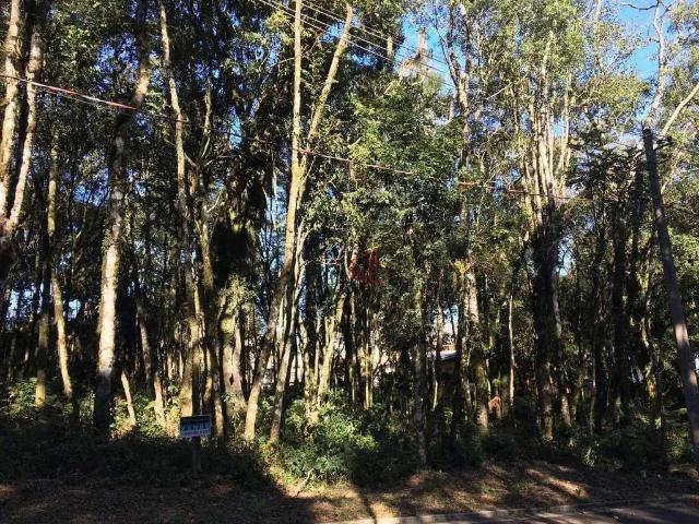Terreno venda em Gramado