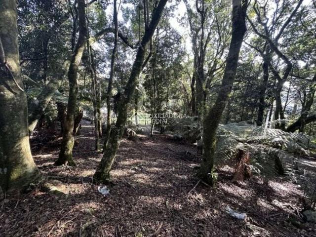 Terreno venda em Residencial Lagos de Gramado, Gramado