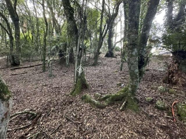 Terreno venda em Região Geográfica Imediata de Caxias do Sul, Gramado
