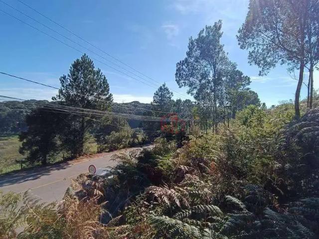 Terreno venda em Região Geográfica Imediata de Caxias do Sul, Gramado