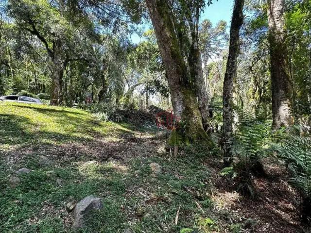 Terreno venda em Região Geográfica Imediata de Caxias do Sul, Gramado
