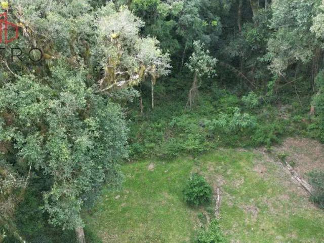 Terreno venda em Gramado