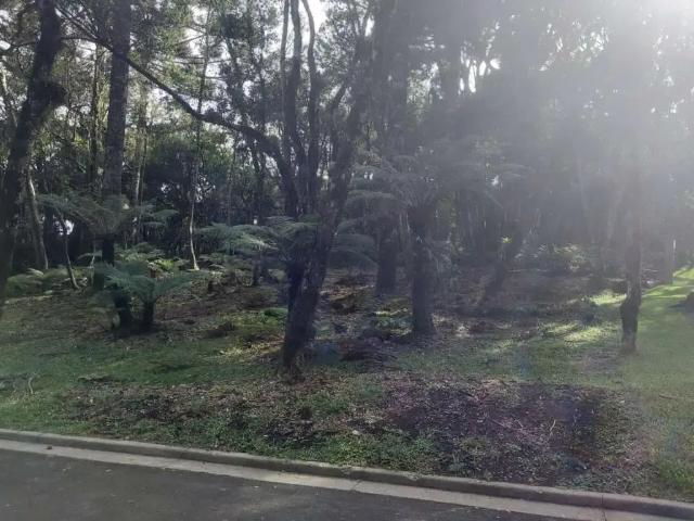 Terreno venda em Residencial Lagos de Gramado, Gramado