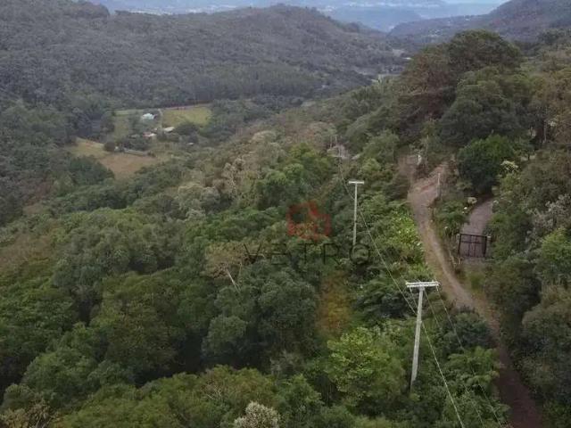 Terreno venda em Gramado