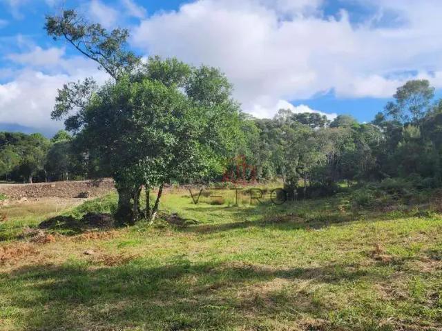 Terreno venda em Região Geográfica Imediata de Caxias do Sul, Gramado