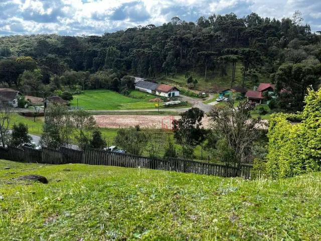 Terreno venda em Gramado