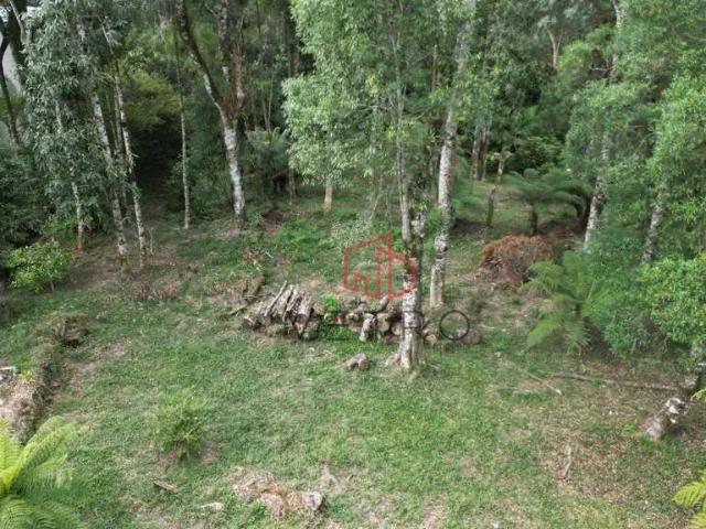 Terreno venda em Canela