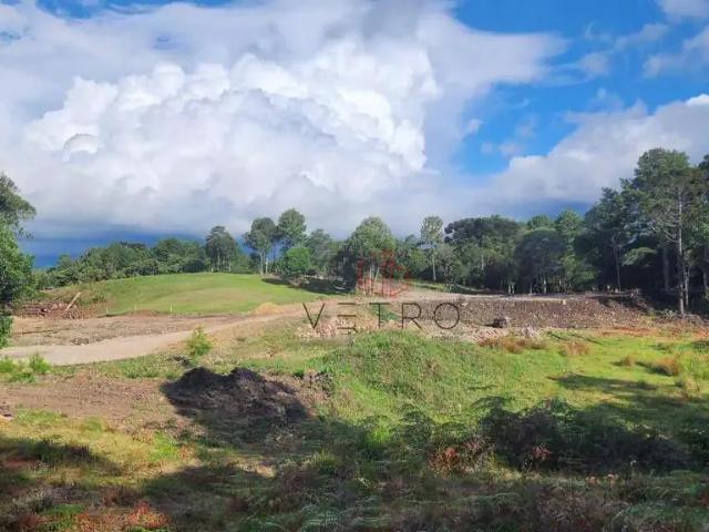 Terreno venda em Gramado