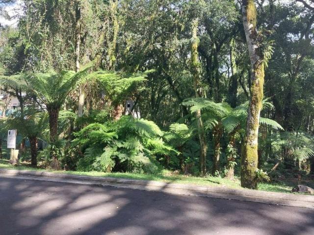 Terreno venda em Região Geográfica Imediata de Caxias do Sul, Gramado