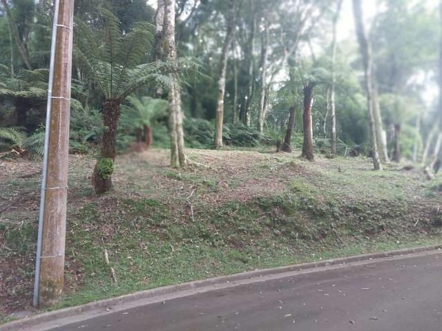 Terreno venda em Região Geográfica Imediata de Caxias do Sul, Gramado