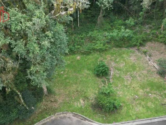 Terreno venda em Região Geográfica Imediata de Caxias do Sul, Gramado