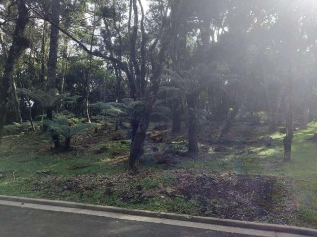 Terreno venda em Região Geográfica Imediata de Caxias do Sul, Gramado