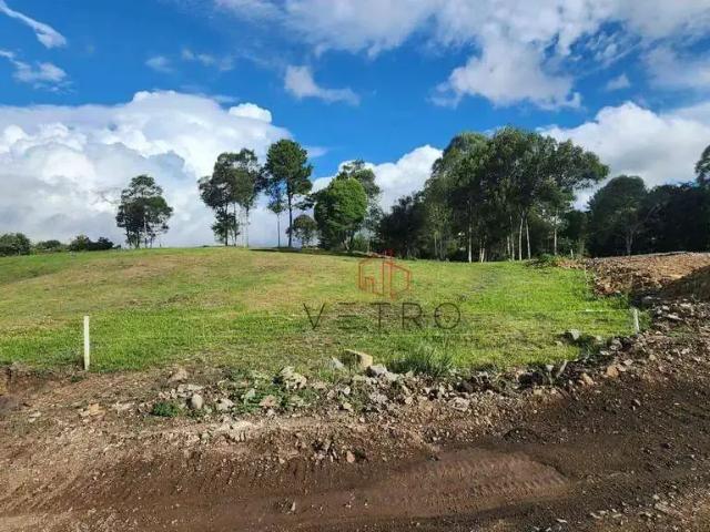 Terreno venda em Gramado
