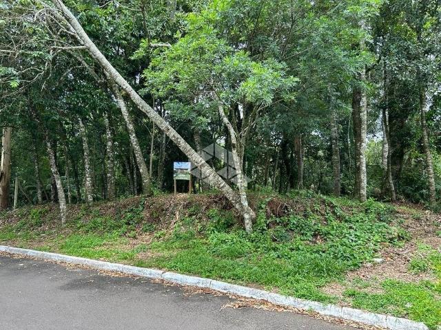 Terreno venda em Gramado
