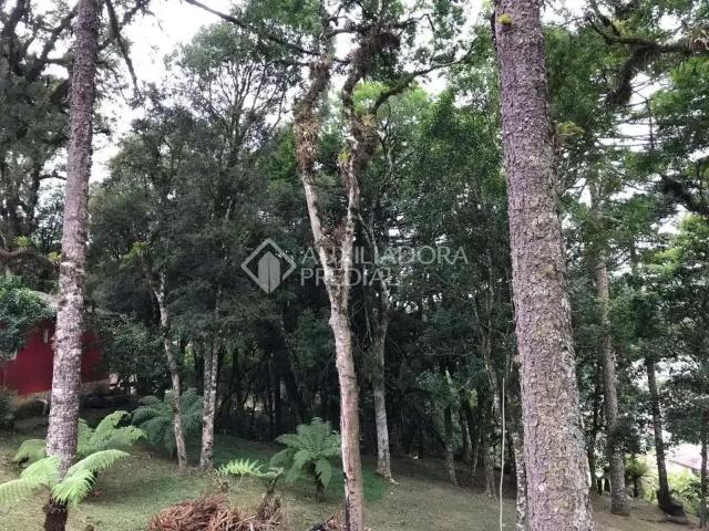 Terreno venda em Gramado