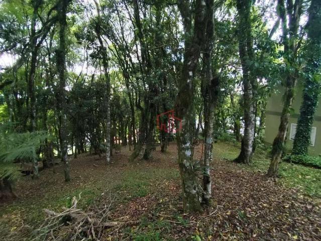 Terreno venda em Residencial Lagos de Gramado, Gramado