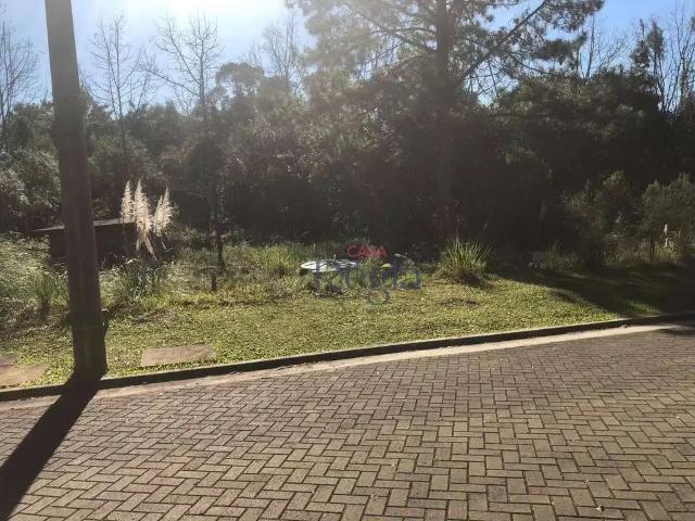 Terreno venda em Gramado