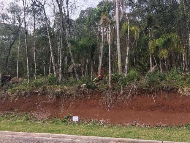 Terreno venda em Região Geográfica Imediata de Caxias do Sul, Gramado