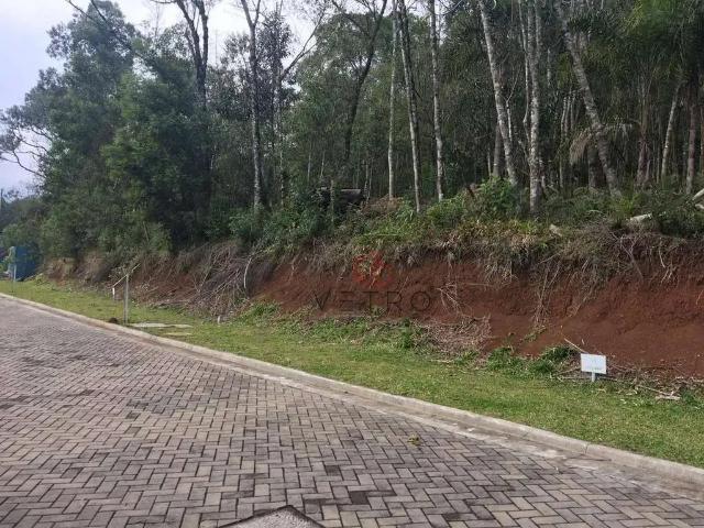 Terreno venda em Gramado