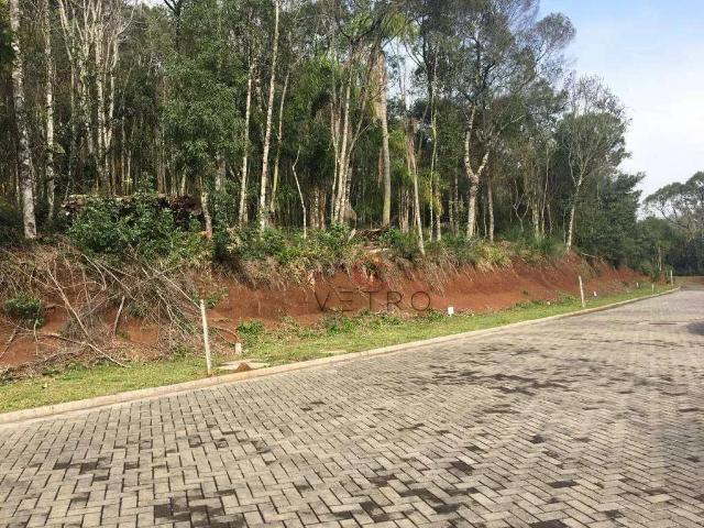 Terreno venda em Região Geográfica Imediata de Caxias do Sul, Gramado