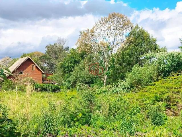 Terreno venda em Gramado