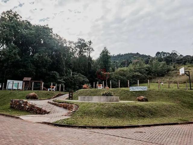 Terreno venda em Gramado