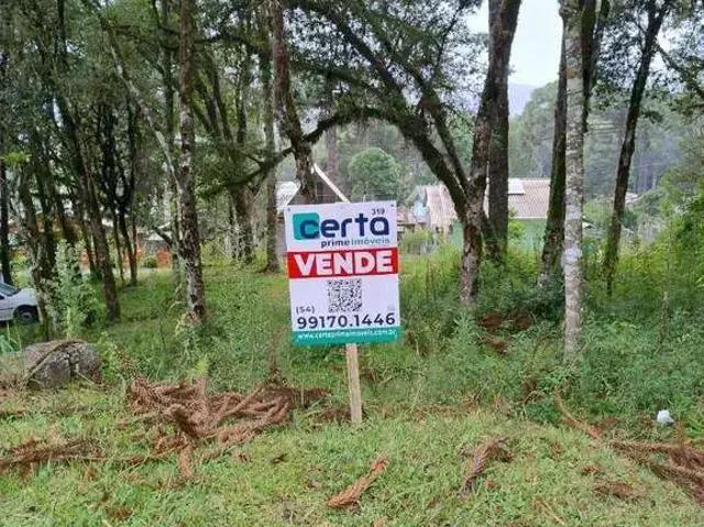 Terreno venda em Gramado