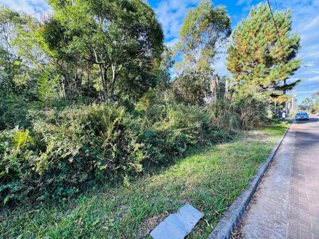 Terreno venda em Região Geográfica Imediata de Caxias do Sul, Gramado