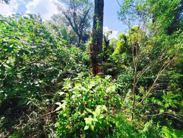 Terreno venda em Região Geográfica Imediata de Caxias do Sul, Gramado